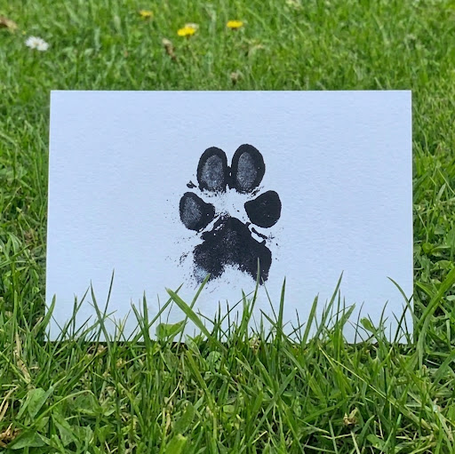 Ink Single Paw